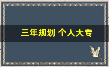 三年规划 个人大专